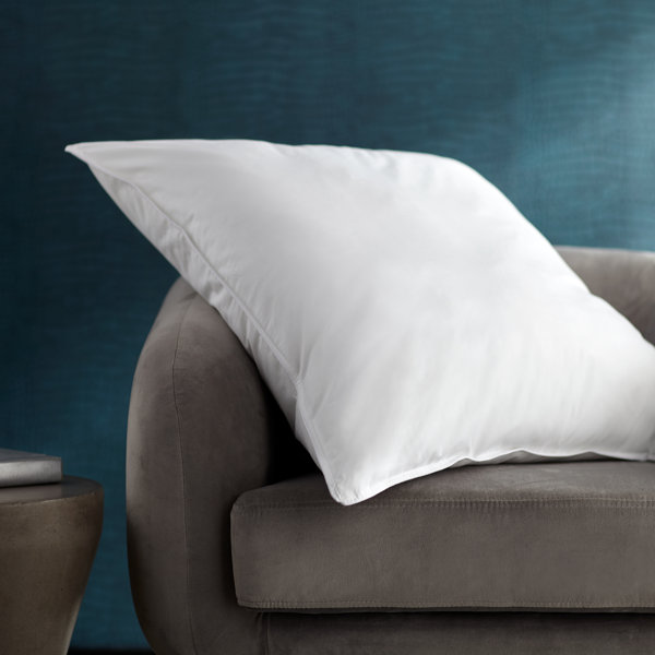 Alwyn Home Bebe Hotel Enviroloft Euro Med/Firm Pillow Insert Form 26